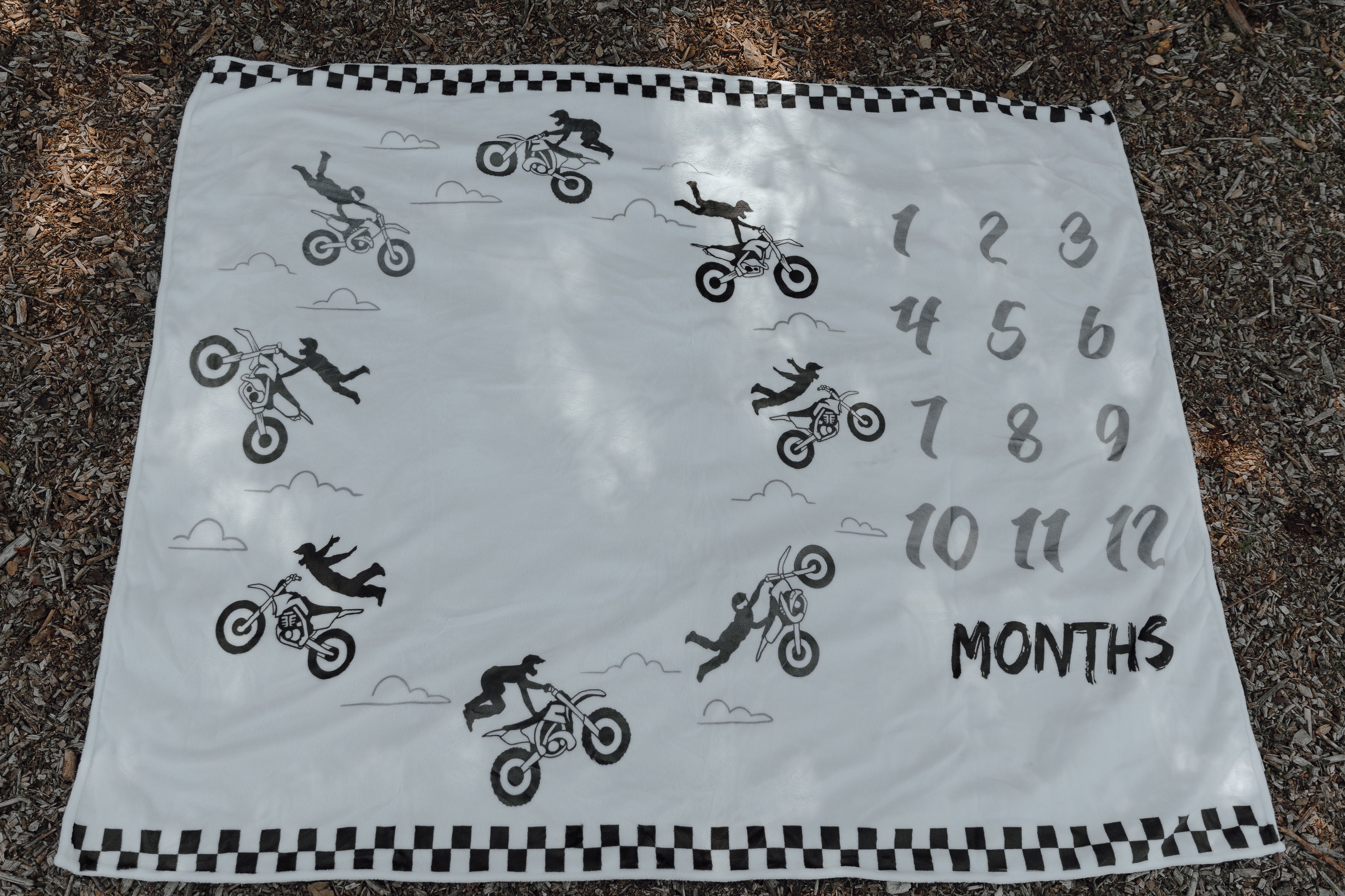 Flyin High Milestone Blanket