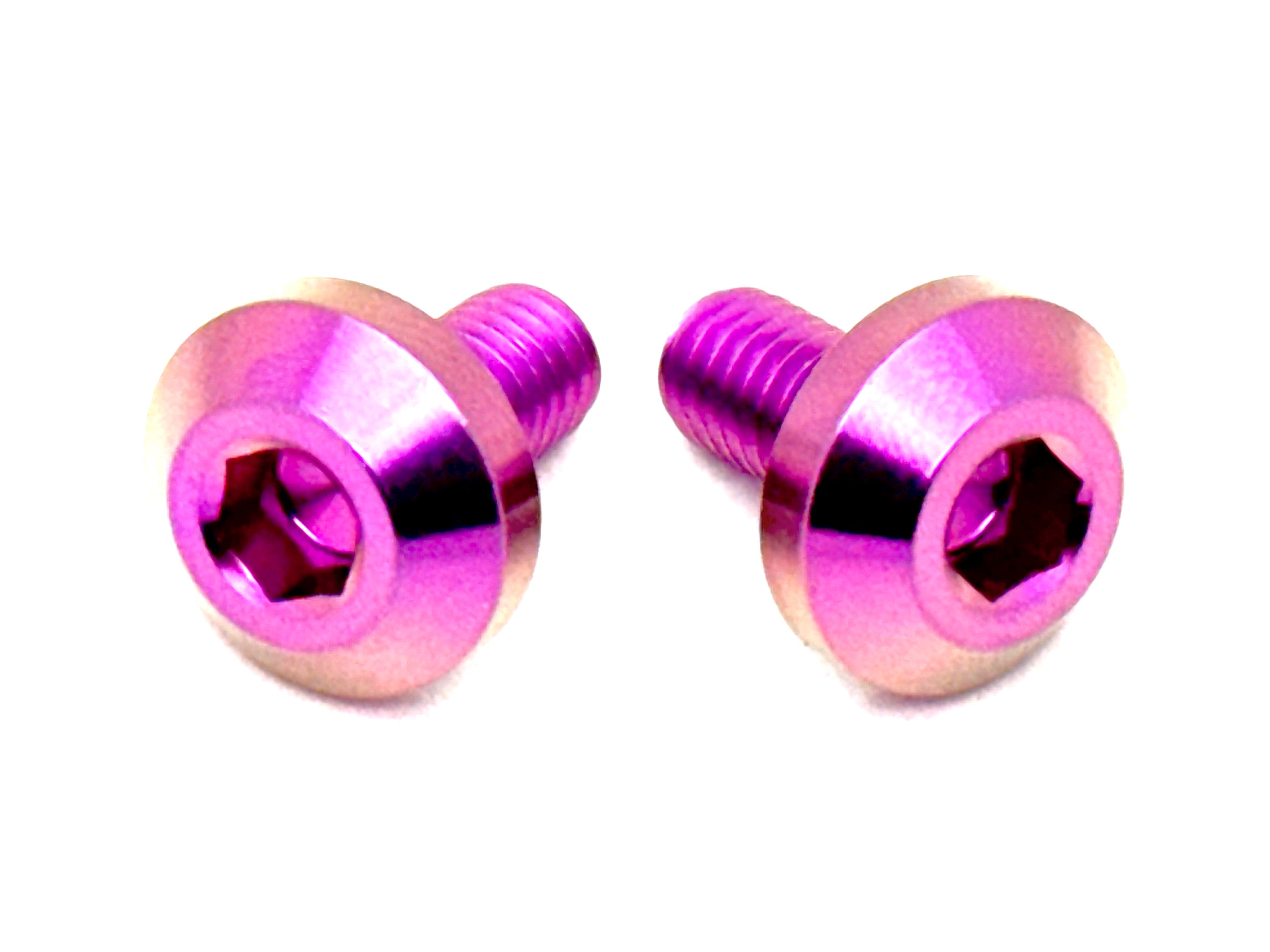 Titanium Battery Tray Bolts (Set of Two) Surron, Segway, E-Ride Pro