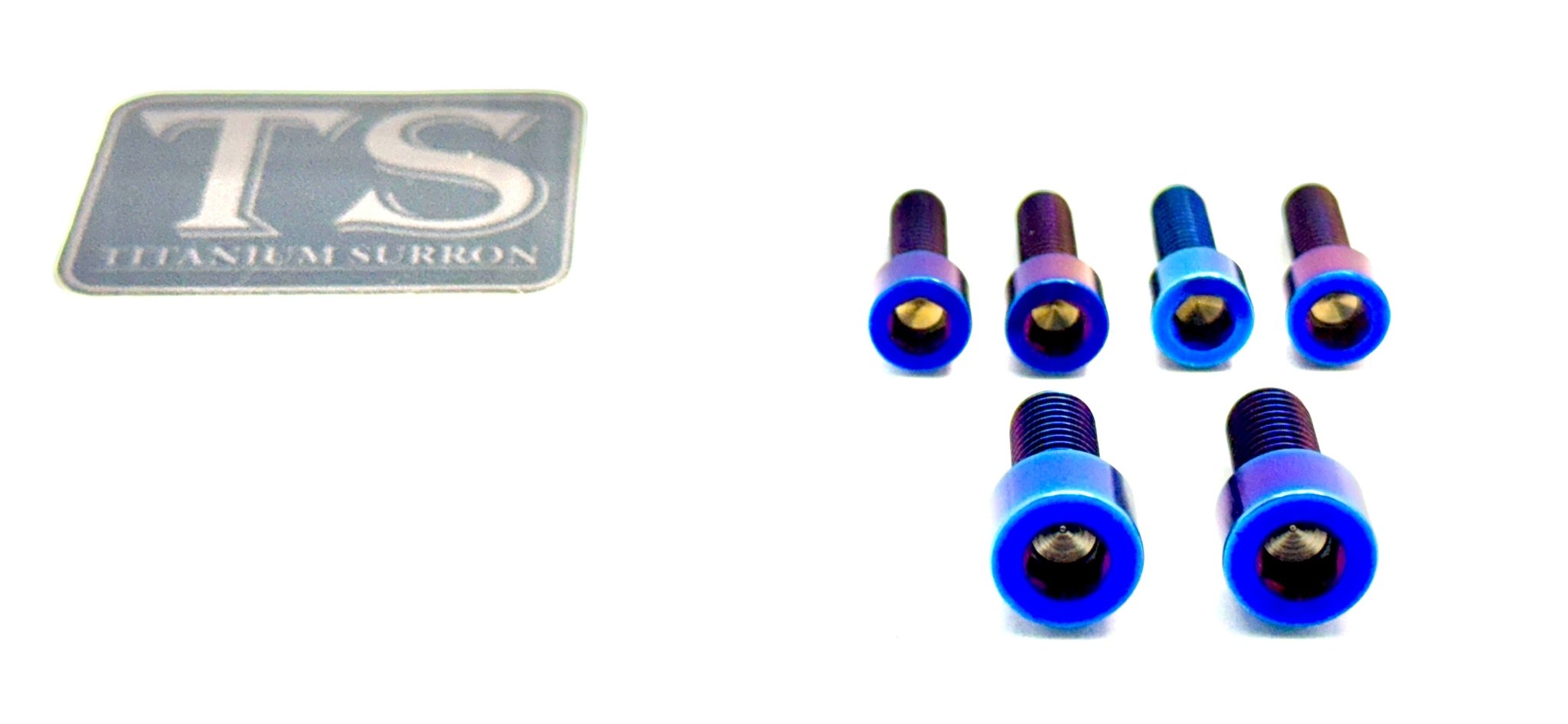 E-Ride Pro (all models) Titanium Stem Bolt Kit