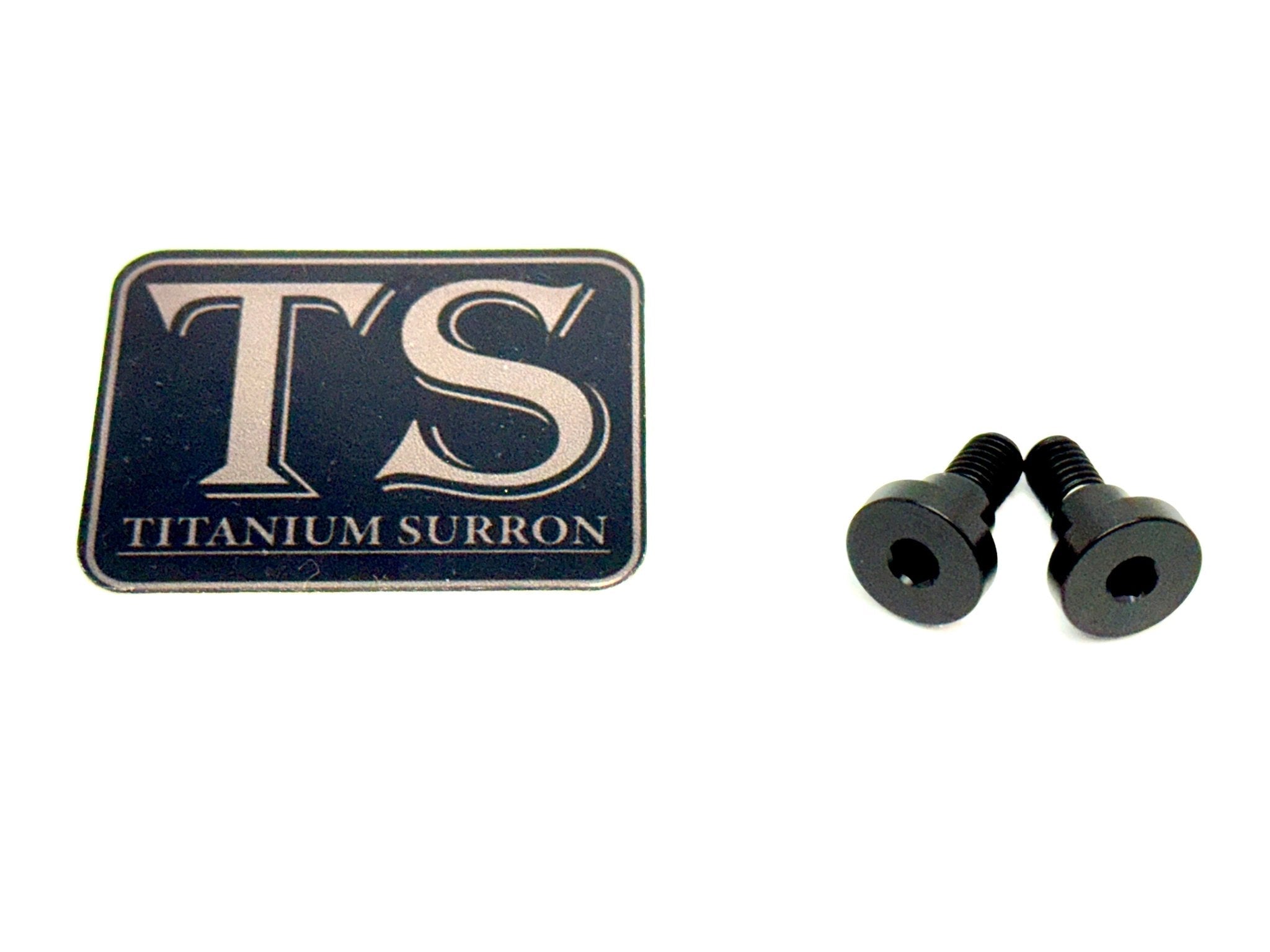 Titanium Battery Lid Bolts - E-Ride Pro - (Two Pcs)