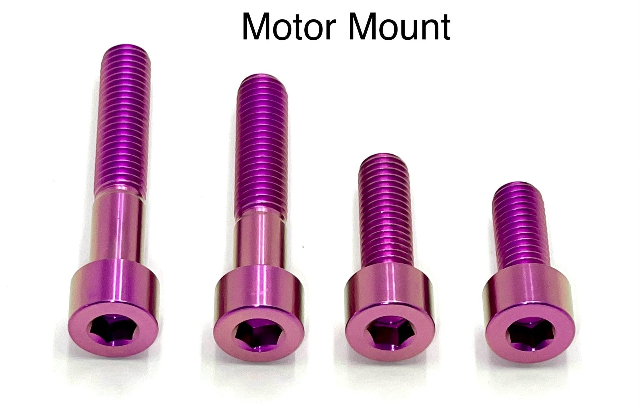 Titanium Motor Bolts - E-Ride Pro (all models)