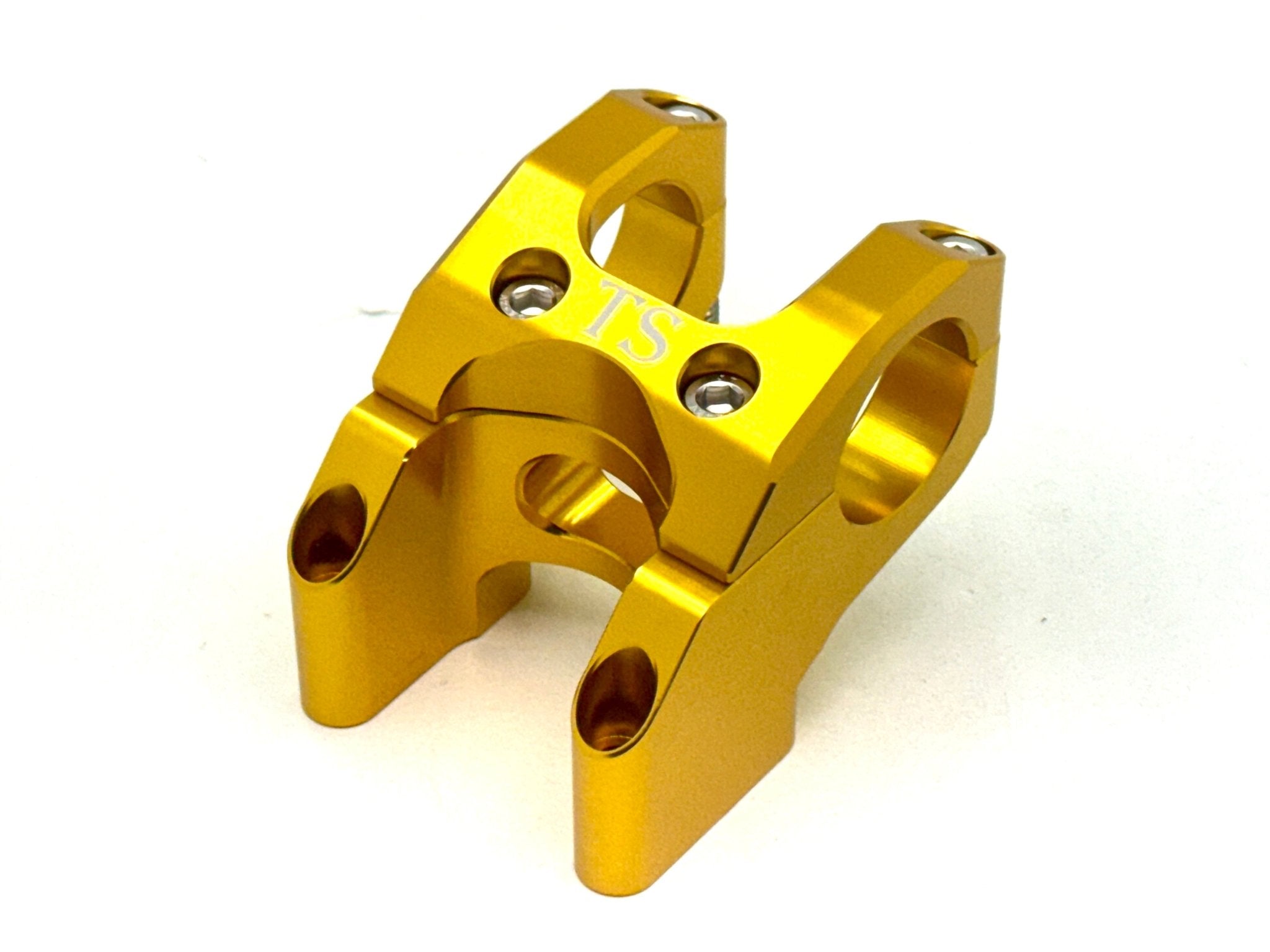 TS Direct Mount Stem for E-Moto