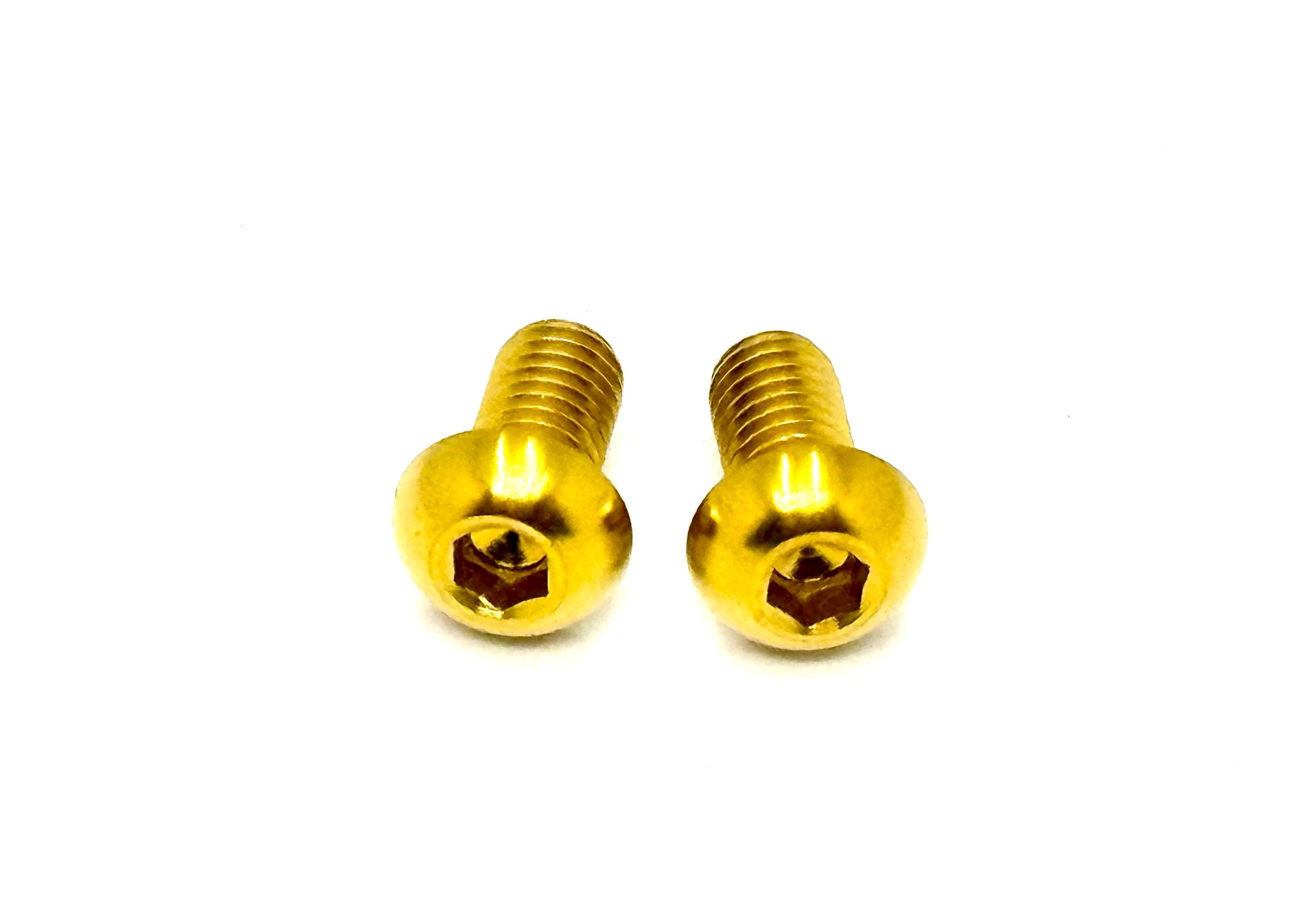 Titanium Ignition Cover Bolts (Set of Two) Surron, Segway, Similar E-moto
