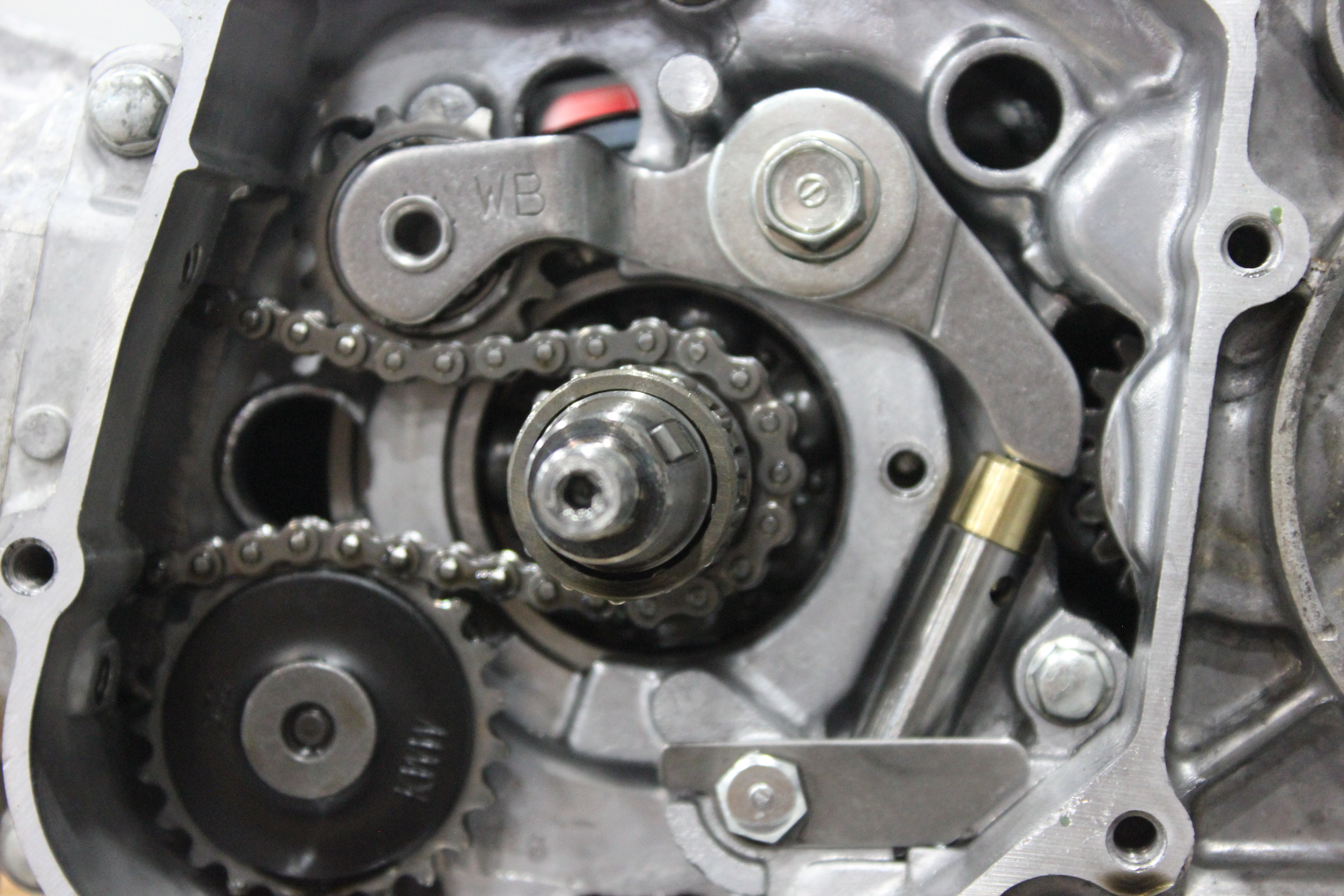 Roller bearing timing chain tensioner with brass extension