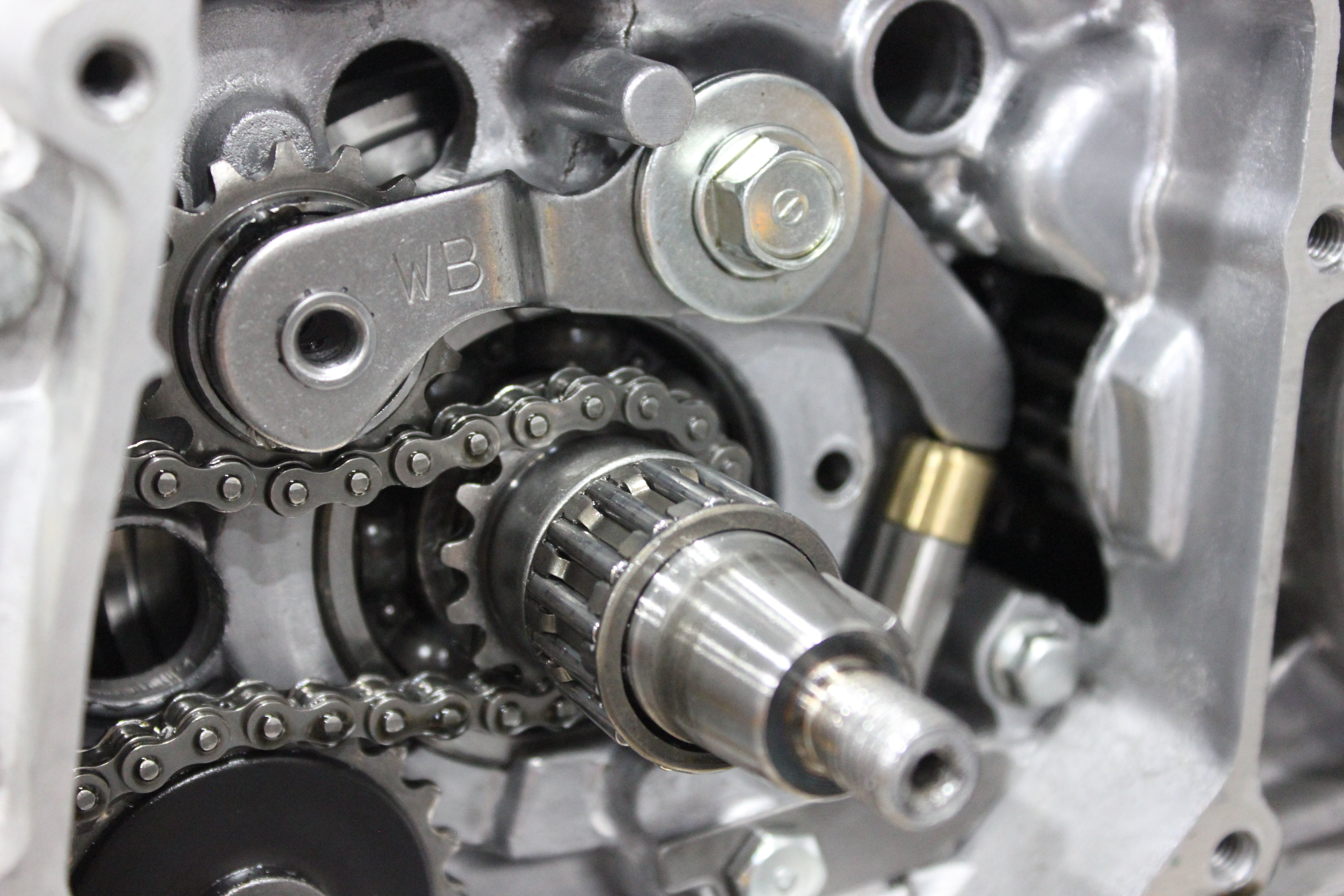 Roller bearing timing chain tensioner with brass extension